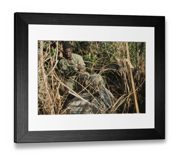 Framed Print : US Military Patrol, Vietnam War Framed Print : US Military Patrol, Vietnam War