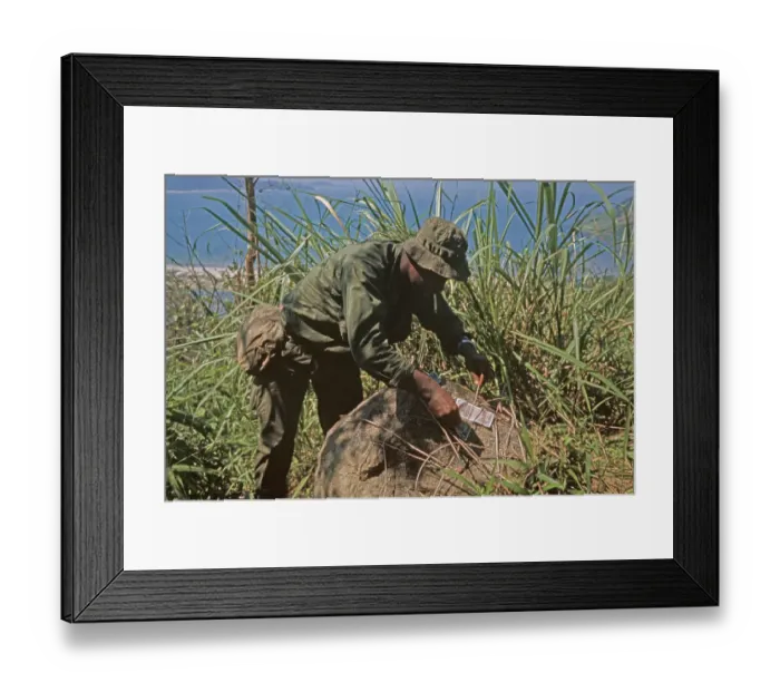 Framed Print : US Military Patrol, Vietnam War Framed Print : US Military Patrol, Vietnam War