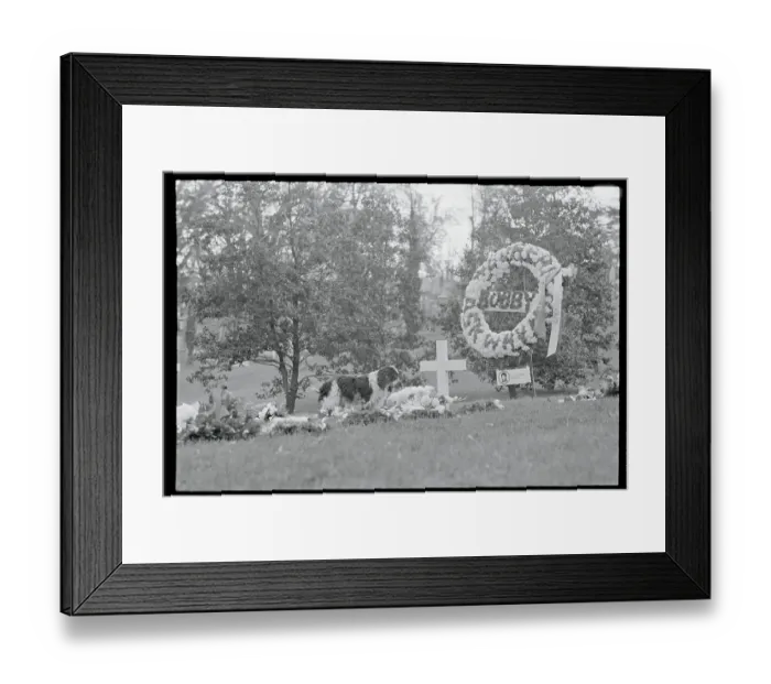 Framed Print : Dog Standing Near Robert F. Kennedy Gravesite