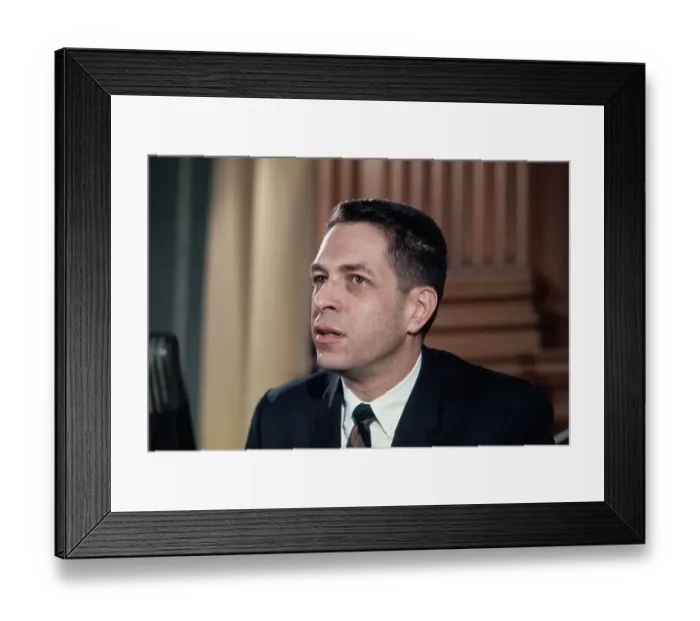 Framed Print : Sheldon Cohen Framed Print : Sheldon Cohen