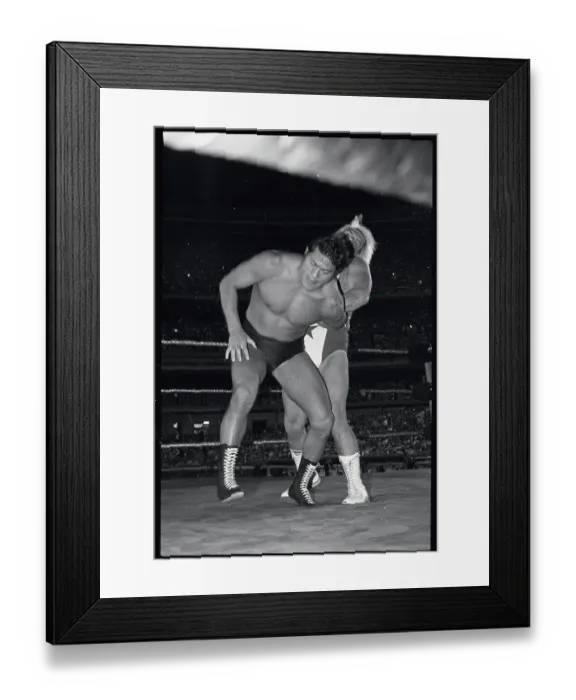 Framed Print : Wrestling Professionals in Action Framed Print : Wrestling Professionals in Action