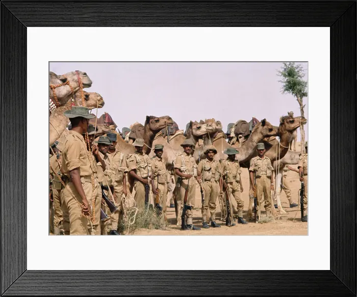 Framed Print : The Indian Camel Corps Framed Print : The Indian Camel Corps