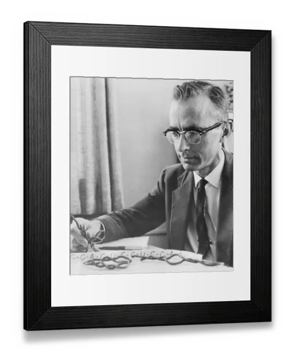 Framed Print : Dr Robert W.Holley Working Framed Print : Dr Robert W.Holley Working