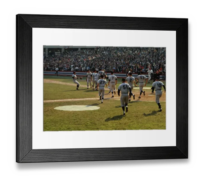Framed Print : Detroit Tigers Carrying Their Winning Pitcher Framed Print : Detroit Tigers Carrying Their Winning Pitcher