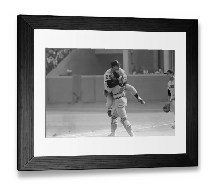 Framed Print : Tigers Reacting in Celebration Framed Print : Tigers Reacting in Celebration