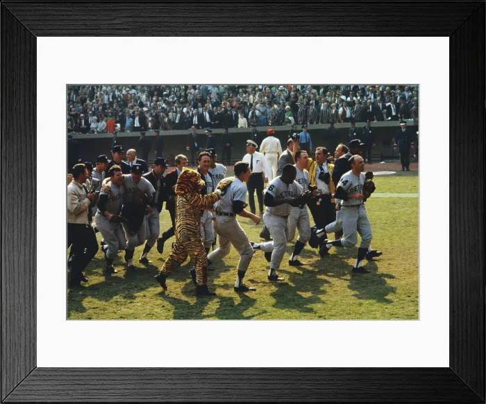 Framed Print : Detroit Tigers Carrying Their Winning Pitcher Framed Print : Detroit Tigers Carrying Their Winning Pitcher
