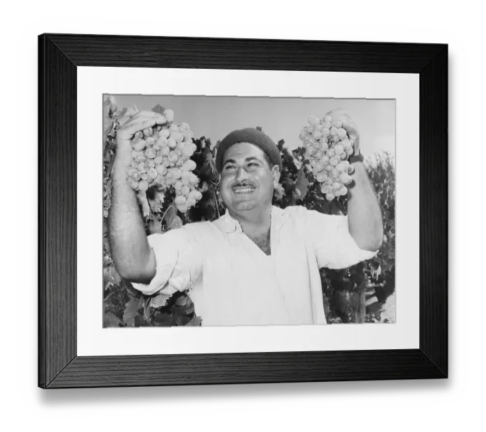 Framed Print : Man Holding Grapes Framed Print : Man Holding Grapes