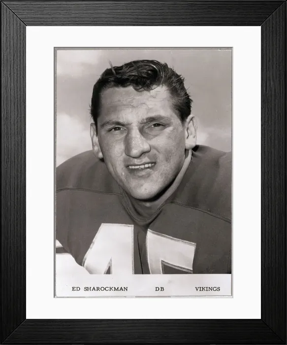 Framed Print : Ed Sharockman of the Minnesota Vikings Framed Print : Ed Sharockman of the Minnesota Vikings