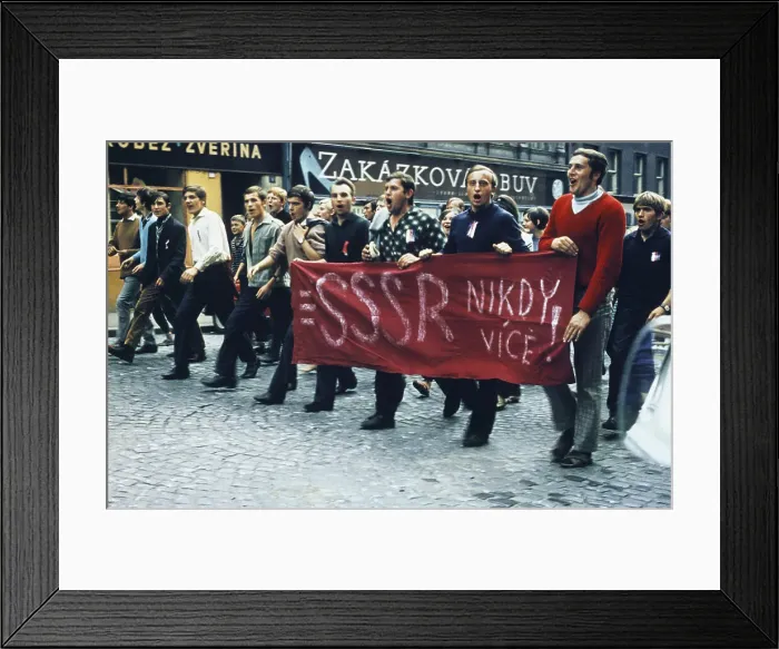 Framed Print : Youths Demonstrating with Signs Framed Print : Youths Demonstrating with Signs