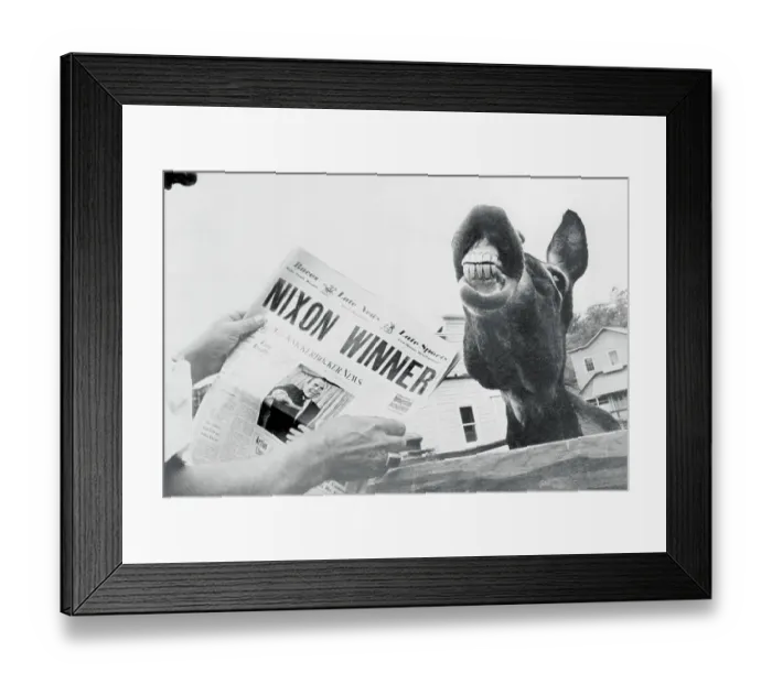 Framed Print : Snarling Donkey Besides Republican Victory Headlines Framed Print : Snarling Donkey Besides Republican Victory Headlines