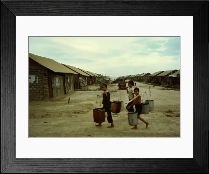 Framed Print : Cattle Herder at South Vietnamese Hamlet Framed Print : Cattle Herder at South Vietnamese Hamlet