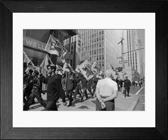 Framed Print : Black Panther Rally Participants Marching with signs Framed Print : Black Panther Rally Participants Marching with signs