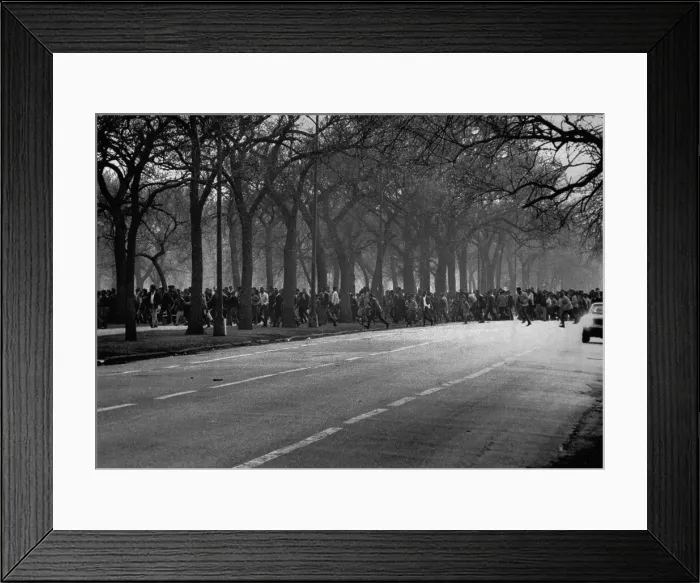 Framed Print : Large African American Gang Strolling Densely Across Park Framed Print : Large African American Gang Strolling Densely Across Park