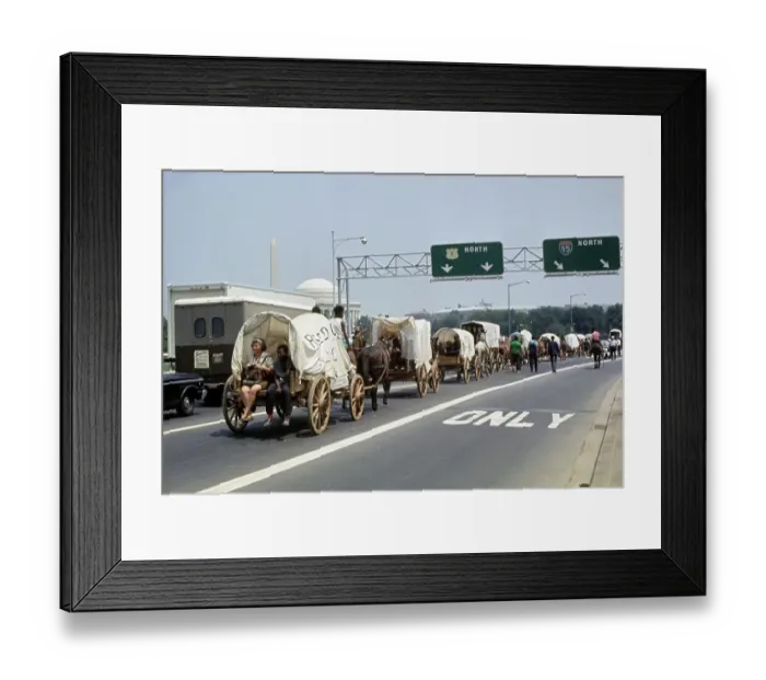 Framed Print : The Mule Train Arriving In Washington Framed Print : The Mule Train Arriving In Washington