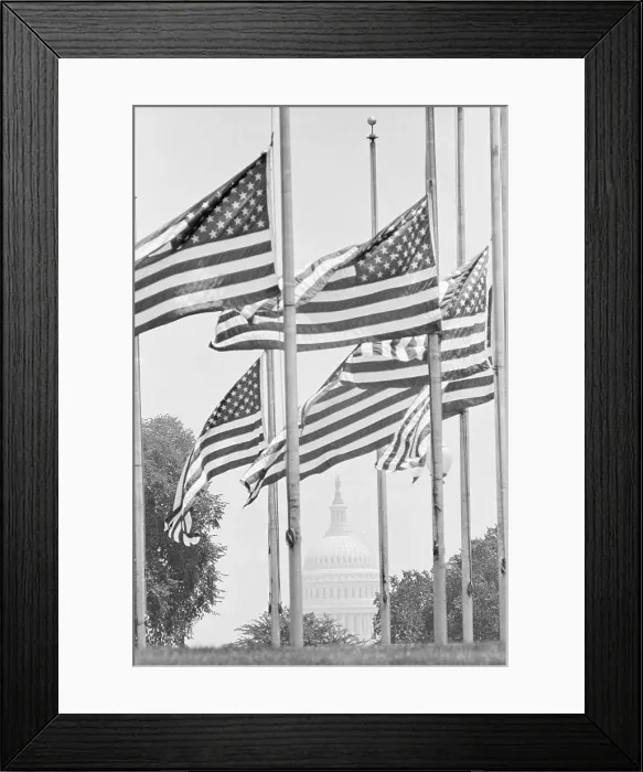 Framed Print : Flags Flying at Half-Mast Framed Print : Flags Flying at Half-Mast
