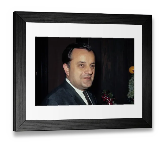 Framed Print : Zivojin Jazic Framed Print : Zivojin Jazic