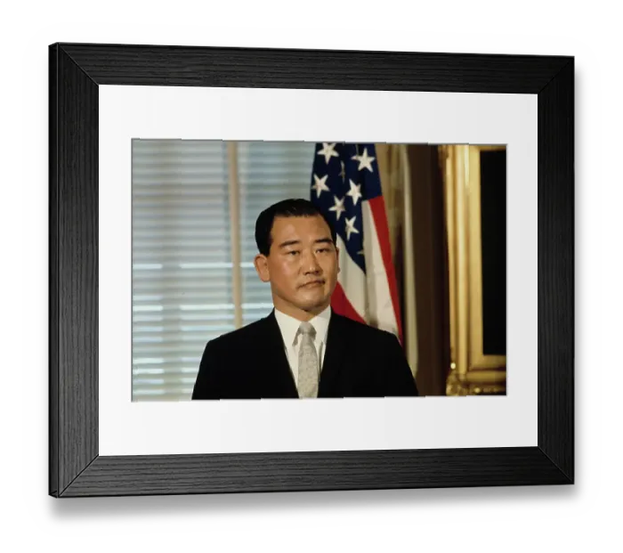 Framed Print : Choi Young-Hee Framed Print : Choi Young-Hee