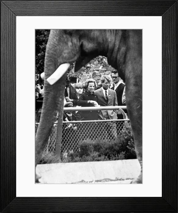 Framed Print : Senator and Mrs. Robert F. Kennedy Framed Print : Senator and Mrs. Robert F. Kennedy