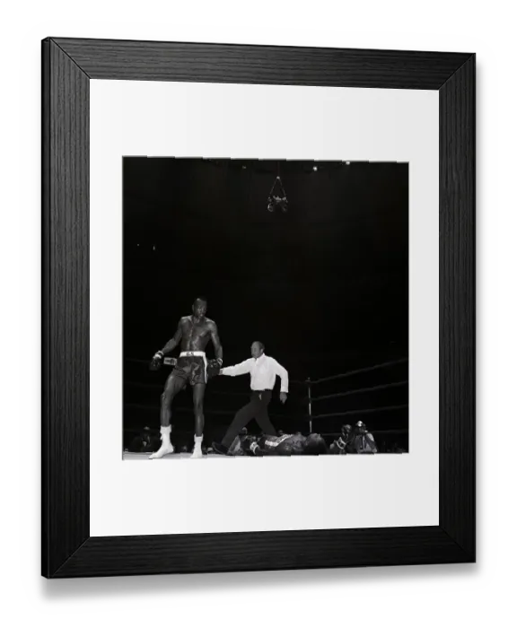 Framed Print : Dick Tiger On Canvas Framed Print : Dick Tiger On Canvas
