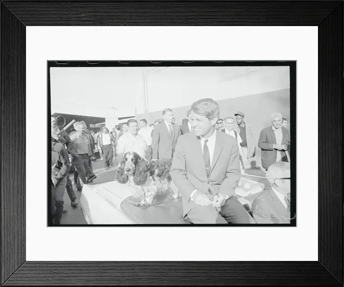 Framed Print : Robert F. Kennedy Sitting Next to Dog Framed Print : Robert F. Kennedy Sitting Next to Dog