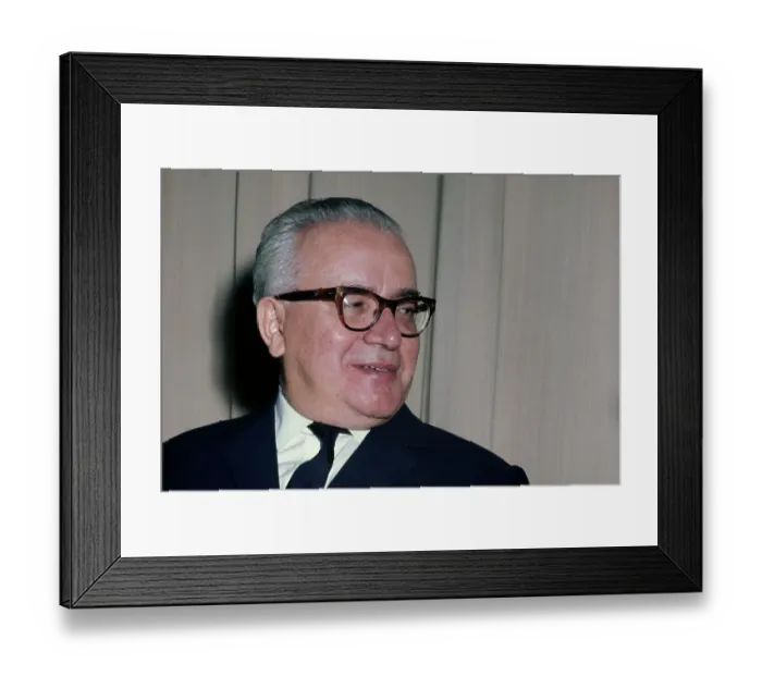 Framed Print : Janos Peter Framed Print : Janos Peter