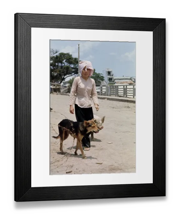 Framed Print : Vietnamese Woman With Pig And Dog Framed Print : Vietnamese Woman With Pig And Dog