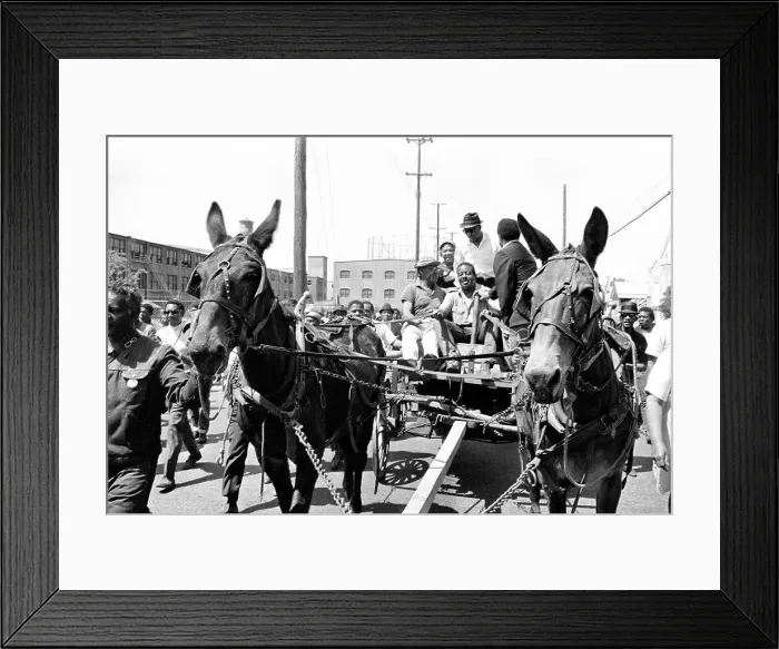 Framed Print : Ralph Abernathy Driving Wagon During Civil Rights March Framed Print : Ralph Abernathy Driving Wagon During Civil Rights March