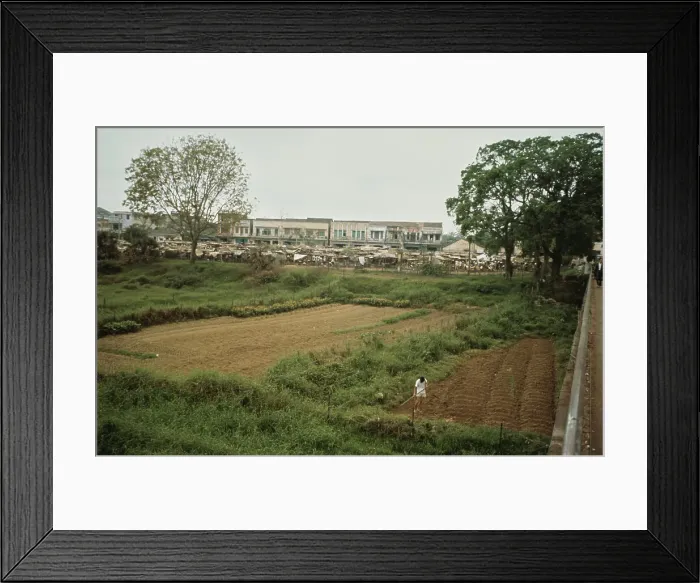 Framed Print : Hue, Vietnam War Framed Print : Hue, Vietnam War