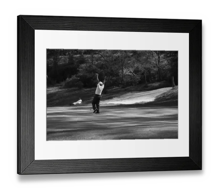 Framed Print : Toward the Championship Framed Print : Toward the Championship
