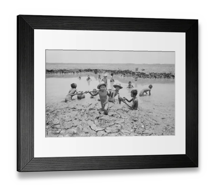 Framed Print : Boys Catching Fish from Rice Paddy Framed Print : Boys Catching Fish from Rice Paddy