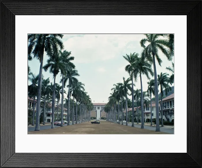Framed Print : El Prado, Panama