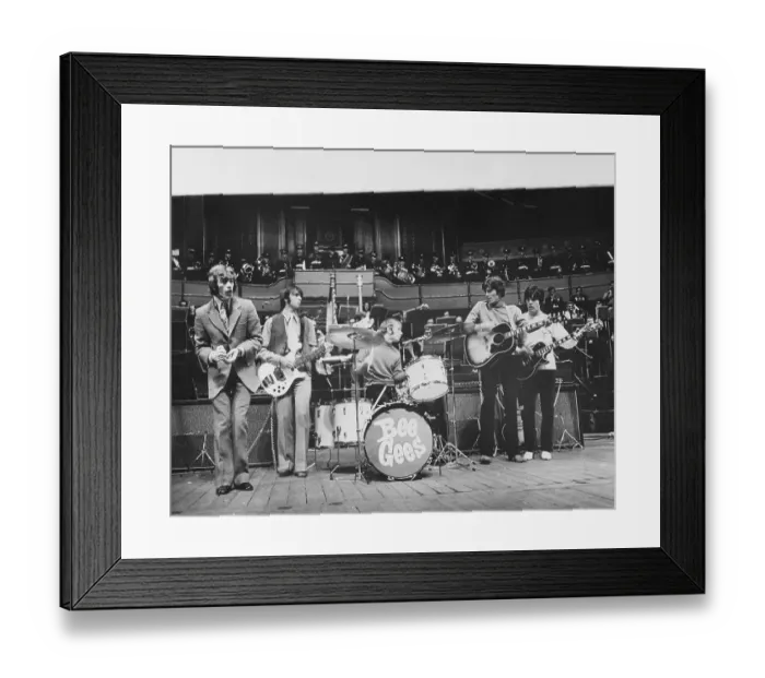 Framed Print : Bee Gees Rehearsing at Royal Albert Hall Framed Print : Bee Gees Rehearsing at Royal Albert Hall