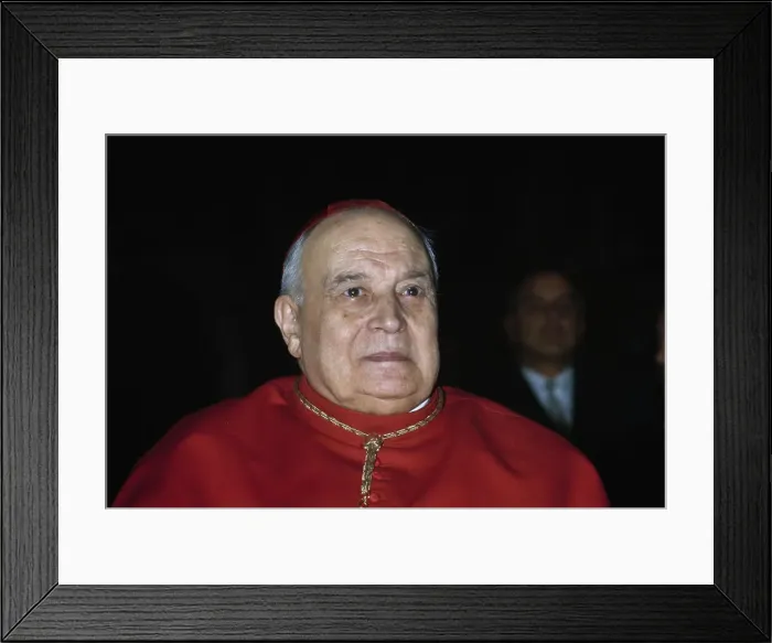 Framed Print : Efrem Cardinal Forni Framed Print : Efrem Cardinal Forni