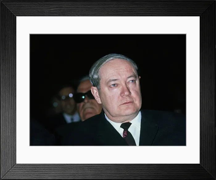 Framed Print : Leonid Smirnov Framed Print : Leonid Smirnov