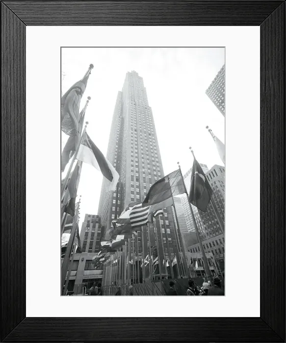 Framed Print : United Nations Flags Flying Framed Print : United Nations Flags Flying