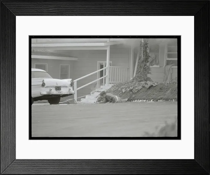 Framed Print : Man Dying in Road