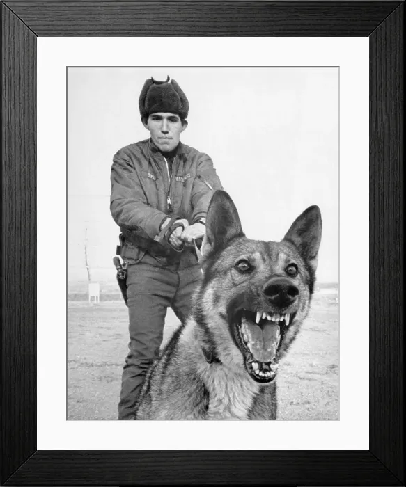 Framed Print : Man and Dog Team