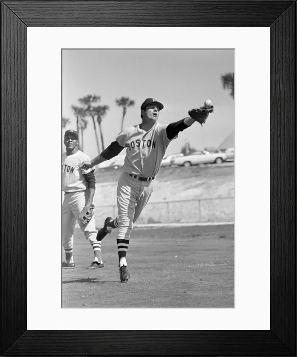 Framed Print : Carl Yastrzemski Reaches To Catch Ball Framed Print : Carl Yastrzemski Reaches To Catch Ball