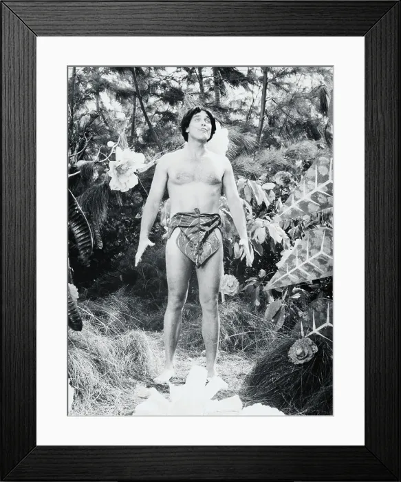 Framed Print : Jeffrey Hunter Wearing Fig Leaf Framed Print : Jeffrey Hunter Wearing Fig Leaf