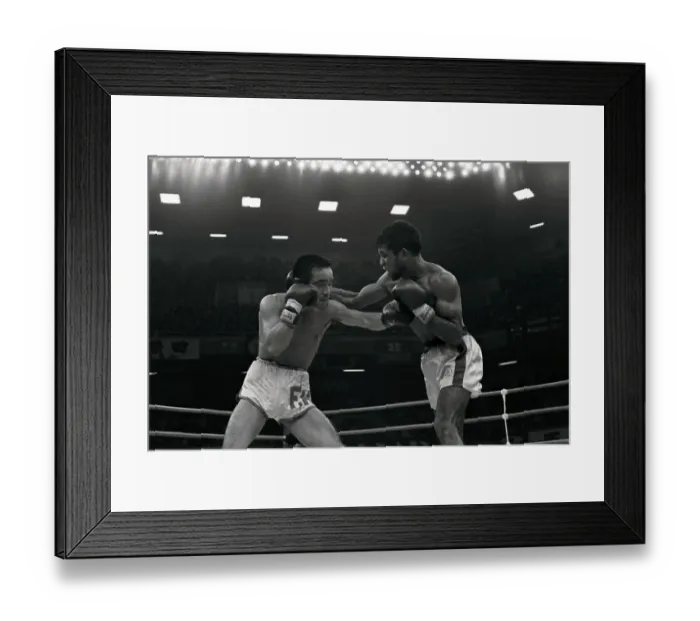 Framed Print : Lionel Rose in Boxing Match Action Framed Print : Lionel Rose in Boxing Match Action