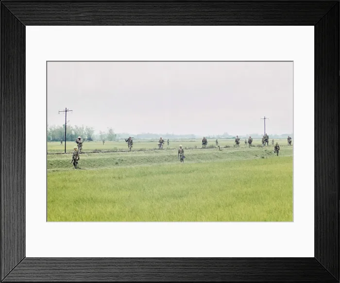 Framed Print : United States Military, Hue Framed Print : United States Military, Hue