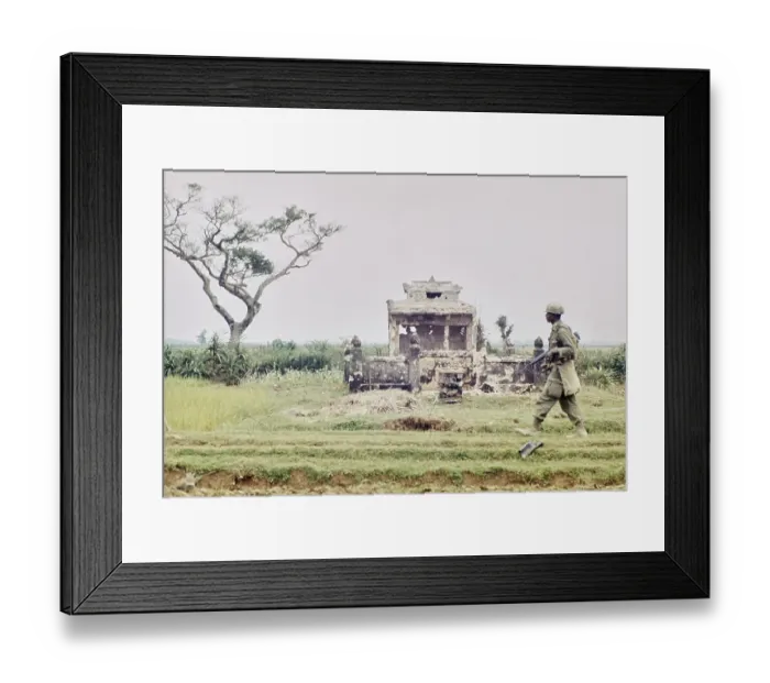 Framed Print : United States Military, Hue Framed Print : United States Military, Hue