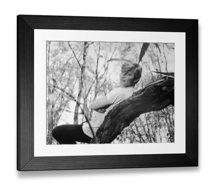Framed Print : Michael York Leaning Against Tree Framed Print : Michael York Leaning Against Tree