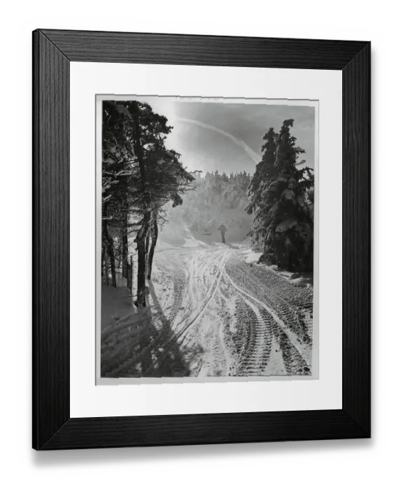 Framed Print : Skier in Middle of Snowy Forest Framed Print : Skier in Middle of Snowy Forest
