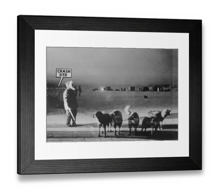 Framed Print : Man Standing with Eskimo Dogs Framed Print : Man Standing with Eskimo Dogs