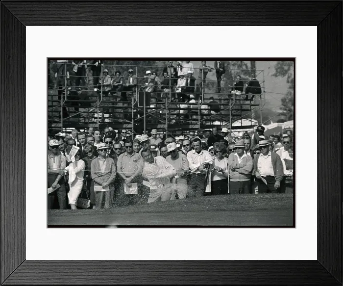 Framed Print : Arnold Palmer Taking a Swing Framed Print : Arnold Palmer Taking a Swing