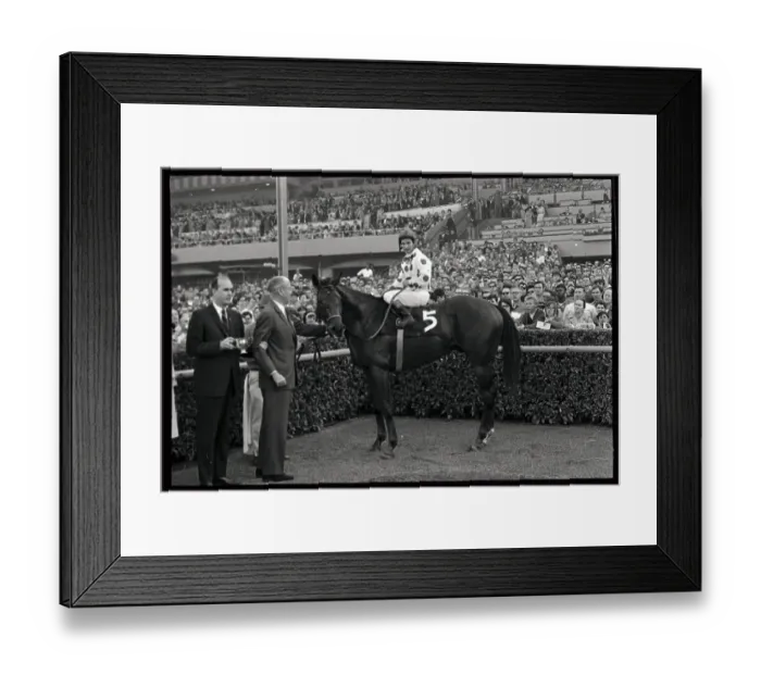 Framed Print : Damascus in Winner's Circle