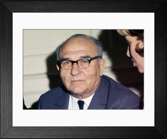 Framed Print : Levi Eshkol