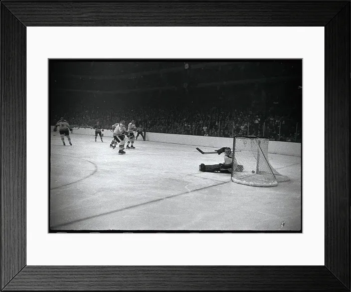 Framed Print : Bruins and Black Hawk Hockey Game Framed Print : Bruins and Black Hawk Hockey Game