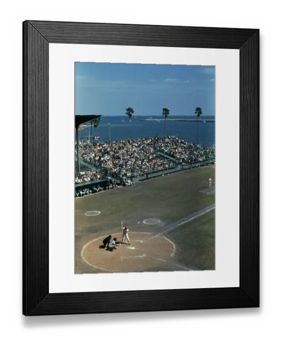 Framed Print : Astros Vs St Louis Cardinals Framed Print : Astros Vs St Louis Cardinals